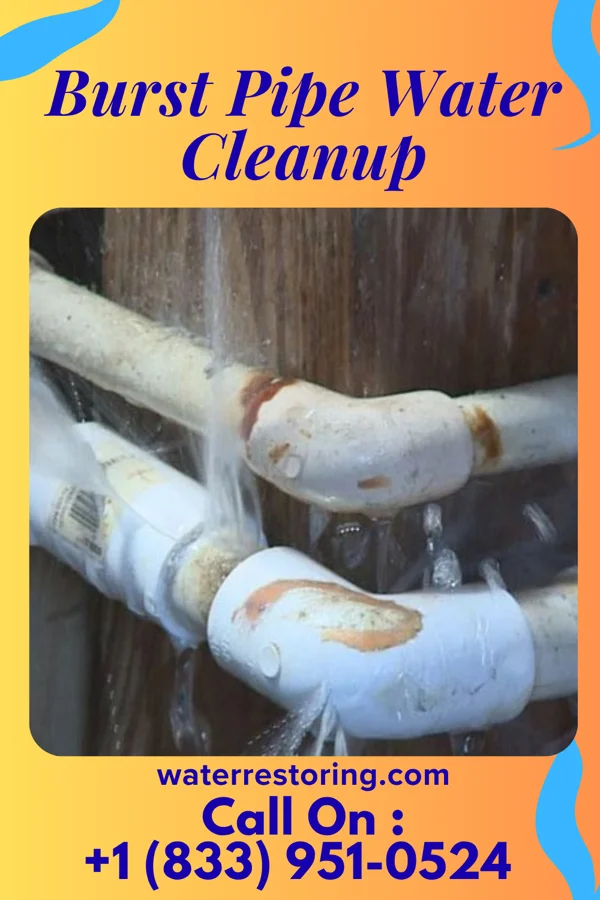 Burst Pipe Water Cleanup in Palmer, TN