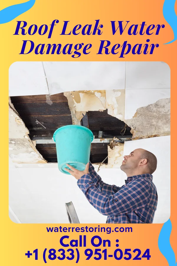Roof Leak Water Damage Repair in Palmer, TN