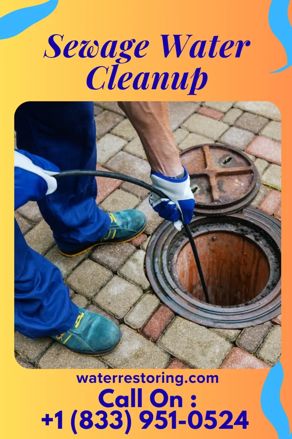 Sewage Water Cleanup in Palmer, TN